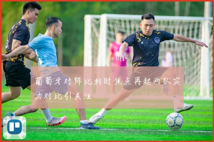 葡萄牙对阵比利时焦点再起两队实力对比引关注