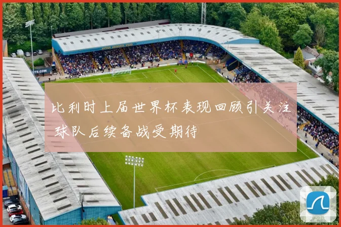 比利时上届世界杯表现回顾引关注 球队后续备战受期待