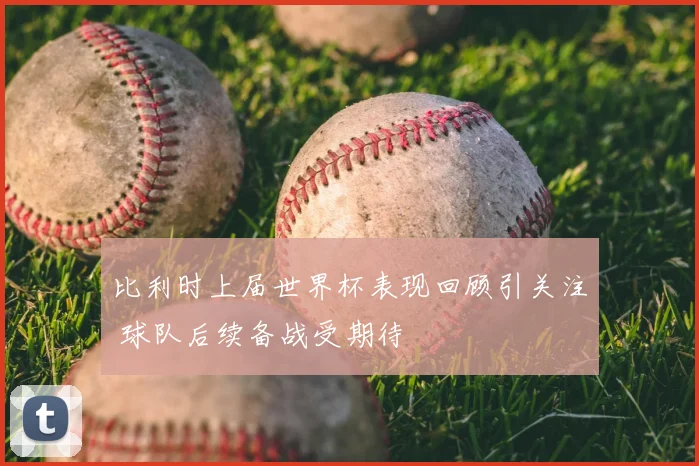 比利时上届世界杯表现回顾引关注 球队后续备战受期待
