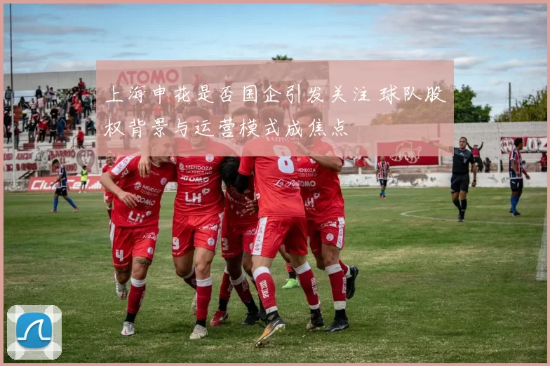 上海申花是否国企引发关注 球队股权背景与运营模式成焦点