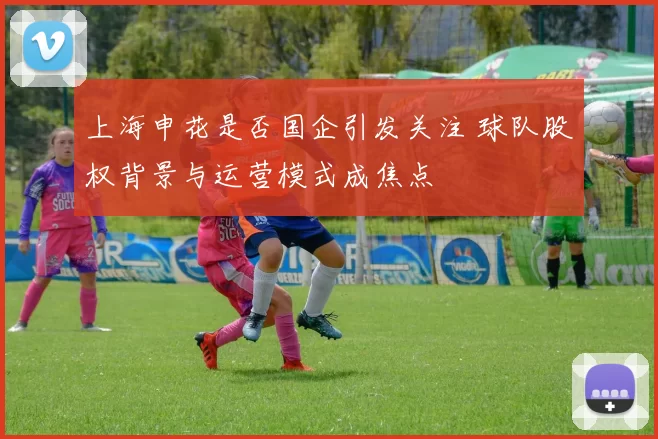 上海申花是否国企引发关注 球队股权背景与运营模式成焦点